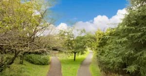 Choosing the Right Path: Exploring Two Common Migration Approaches